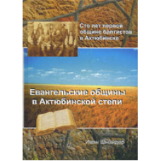 Євгенельські поселення в Актюбінському степі/І. ШНАЙДЕР