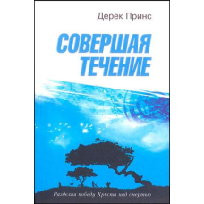 Здійснюючи перебіг/Д. ПРИНС