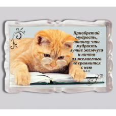 Приобретай мудрость/ магніт прямокутний