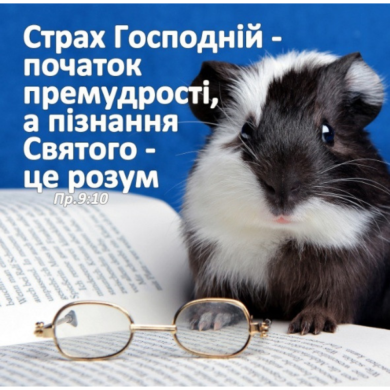 Страх Господній - початок премудрості/магніт середній