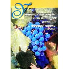 Потішайся Холод, і Він виконає/Одинарні листочки *