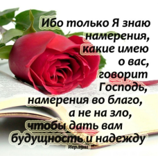 Ибо только Я знаю намерения/магніт середній