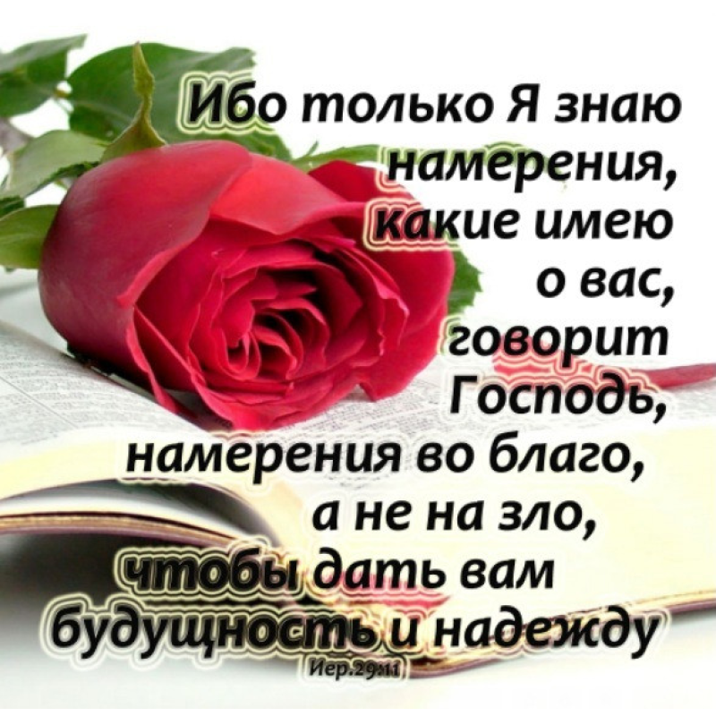 Ибо только Я знаю намерения/магніт середній
