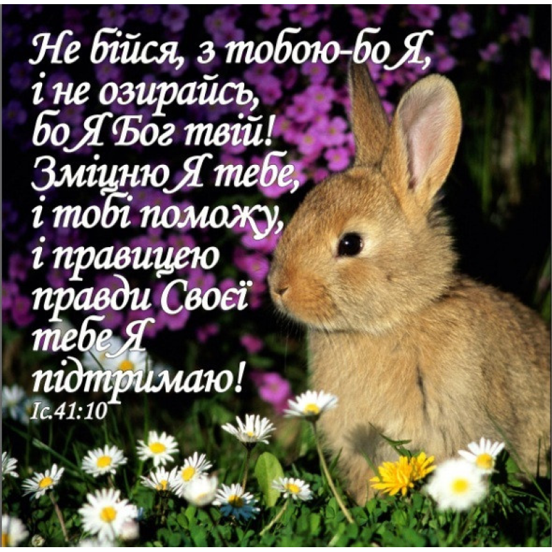 Не бійся, з тобою-бо Я/магніт середній Не бійся, з тобою-бо Я/магніт середній