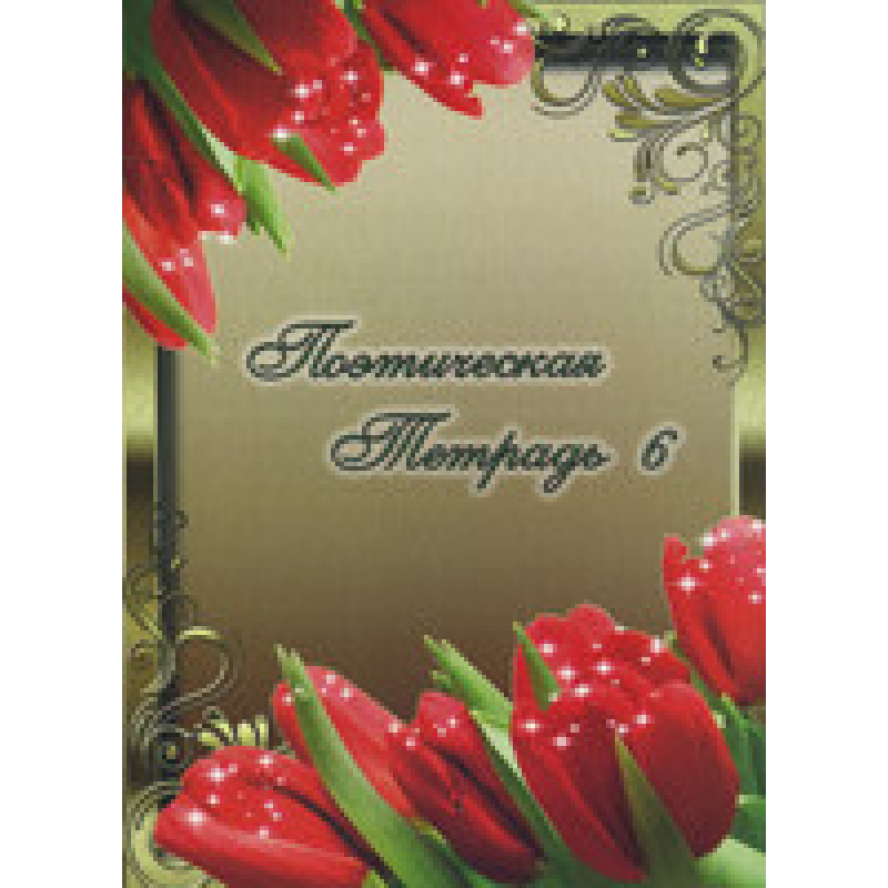 Поетичний зошит. Том 6