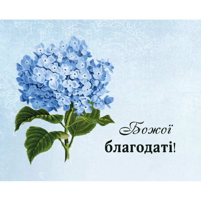 Божої благодаті! /карточка/