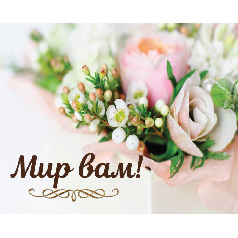 Світ Вам! /карточка/